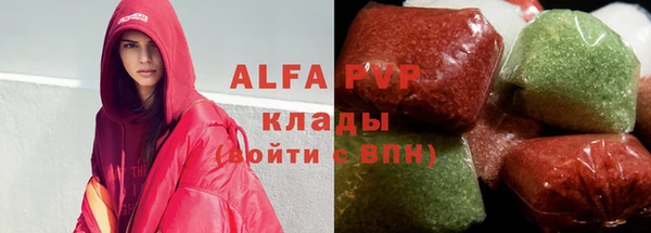 хмурый Аркадак