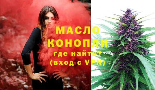хмурый Аркадак
