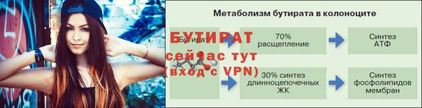 хмурый Аркадак