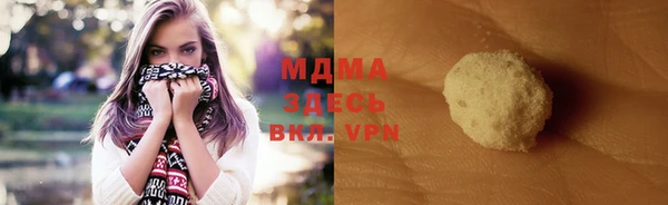 хмурый Аркадак