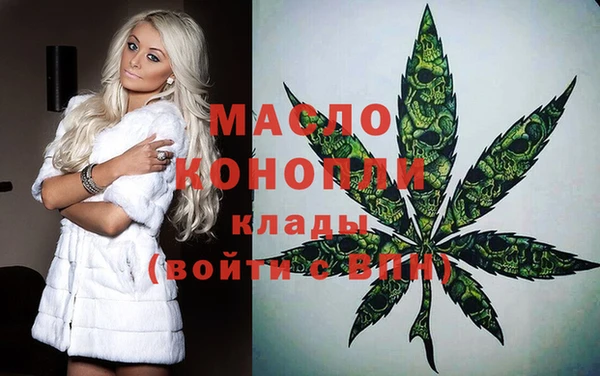 хмурый Аркадак
