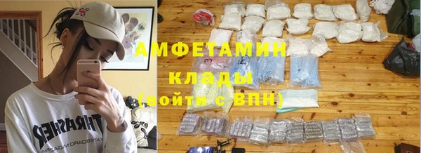 хмурый Аркадак