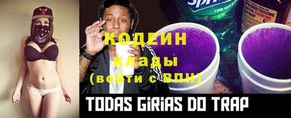 хмурый Аркадак