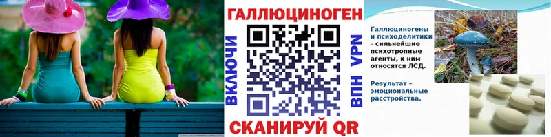 Псилоцибиновые грибы Psilocybe Порхов