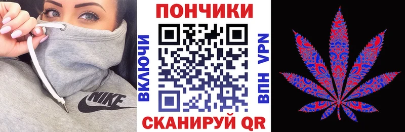 Каннабис гибрид  Порхов 